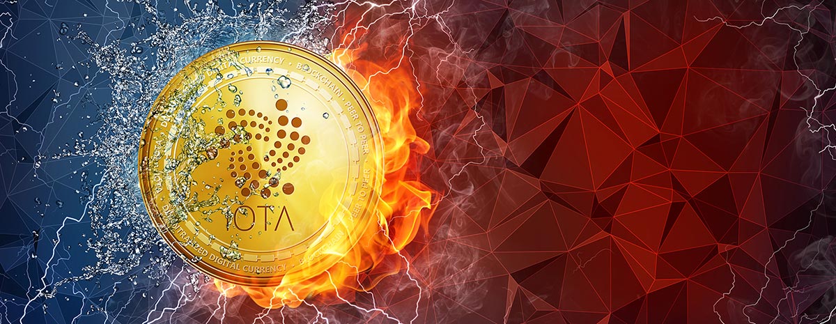 iota coin review